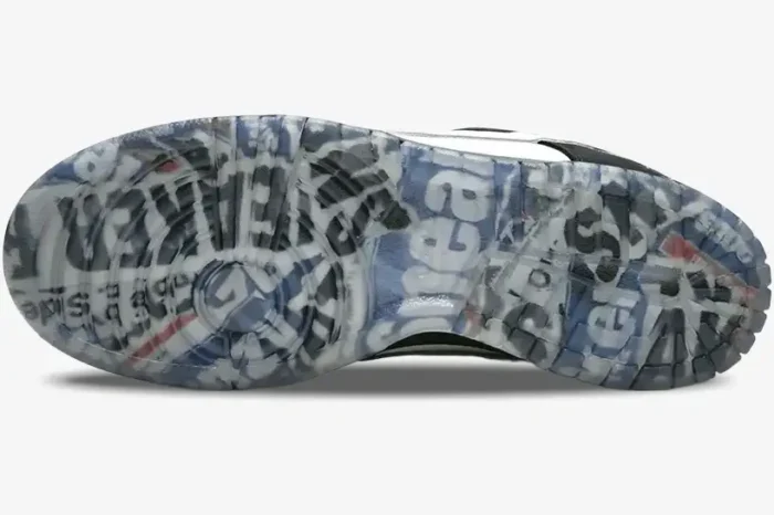Bottom view of the Nike SB Dunk Low x Staple Panda Pigeon sneaker featuring a translucent outsole with graphic print. - SKU BV1310-013