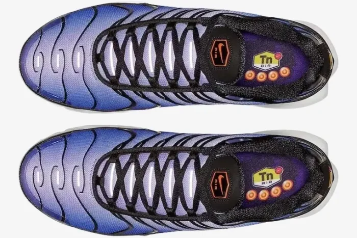 Top-down view of Nike Air Max Plus TN Voltage Purple sneakers with black laces and gradient mesh uppers. - SKU BQ4629-002