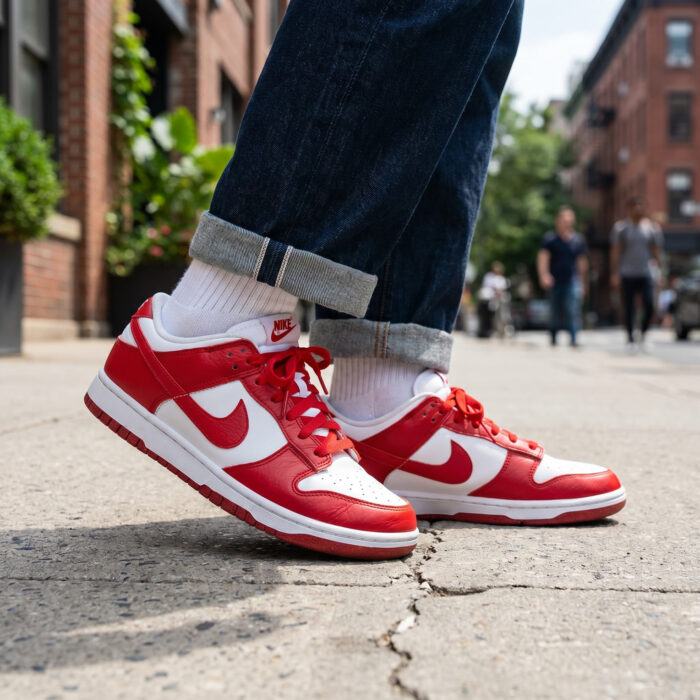 Nike Dunk Low Gym Red (2022) [Lifestyle AI]
