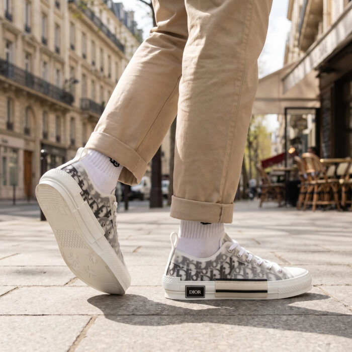 Dior B23 Low Top Oblique Canvas White Grey [Lifestyle AI]