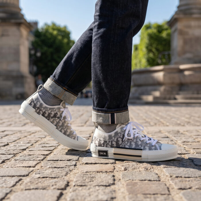 Dior B23 Low Top in White and Grey Oblique Canvas [Lifestyle AI]